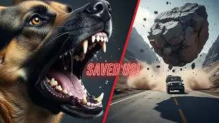 ⚡️ Hero Dog Saves Squad from GIANT Boulder! 😱🚙 Extreme Off-Road Survival| K9 Dog
