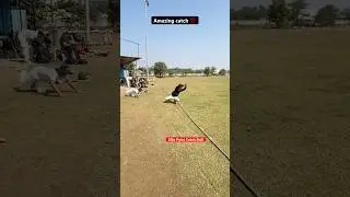 most viral cricket short video #trending #viralshorts #cricket #youtubeshorts #india #ipl2025