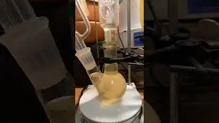 sodium ethoxide the next day