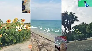 أجواء الشرقيه في ديسمبر 🌧 /ايام عشوائية💕/2026