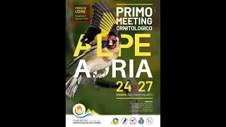 Primo Meeting Alpe Adria 2024