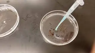 Intermolecular Forces Lab