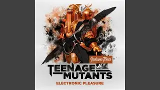 Electronic Pleasure (Original Mix)