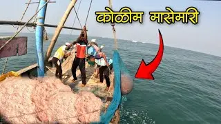 मासेमारीच्या पहिल्याच दिवशी भेटला भरपूर कोळीम 🦐😱 #fish #prawns #zinga #fishinglife #fishingvideo 