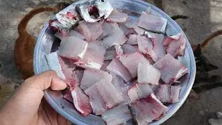 Cat eat Delicious​ fish | Cat eating yummy fish | Kitten eating raw fish