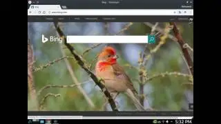 How To Download Bing Homepage Photos