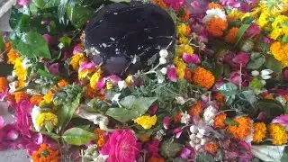 tarot guidance paid 50 rs per question