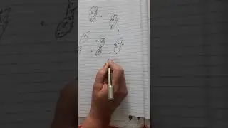 احياء سادس/درس5/التكاثر في الطليعيات البراميسيوم واليوغلينا .