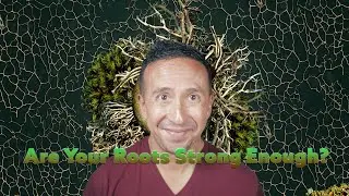 Are Your Roots Strong Enough? | Personal Development | Marcelo Oleas