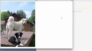 How to Use the CSS clip-path Property