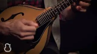 Pava A5 Professional | Jordan Santiago