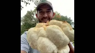 Worth Savoring, Foraging for food with Camp Creek Native Plants