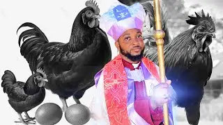 Cook One Egg From A Black Hen With Urine - Saam David Teaches Mystery Of Black Hen