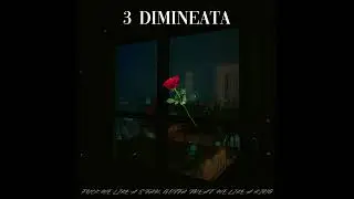 LILGRASU - 3 DIMINEATA (OFFICIAL AUDIO)