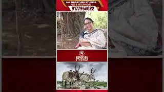 నాది మా ఆవిడది పెళ్లి రోజు ఒకే రోజు | Natural Farming Expert Vijay Ram |@Signature Studios