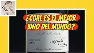 (4)CU&Aacute;L ES EL MEJOR VINO DEL MUNDO?