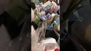 Panda Baby Shower