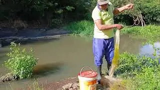 PESCARIA DE TARRAFA PESADA! OLHA O TANTO DE PEIXE QUE SAIU 😱🐟
