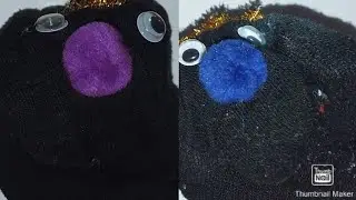 Pts movie: Meet the socks family