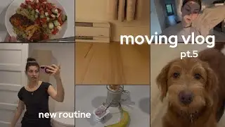 MOVING VLOG - pt. 5 - starting a new routine