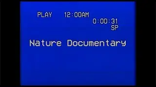 the insomnia tapes - nature documentary (2022) | Horror Short Film