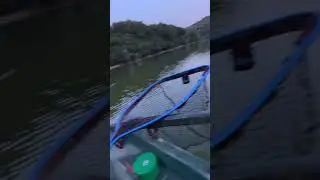 P&ecirc;che en bateau le poisson blanc