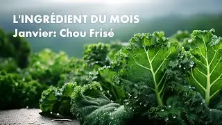 4 recettes faciles et gourmandes au chou frisé 🥬 | Cuisine de saison