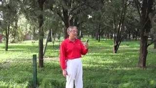 Raw Singing Talent In China - HyperTrypsy Travels