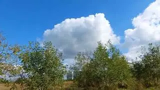 Реалии и быт на войне - как пос*ать, чтоб не умереть? Какая она война - в окопе в поле?