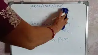 Have,Has,Had simple sentences examples