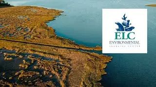 Discover the Environmental Learning Center in Vero Beach, Florida