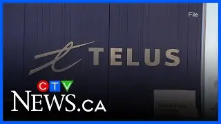 Telus releases report into 911 outage