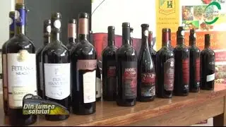 Povestea nespusă a Busuioacei de Bohotin