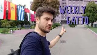 Voglio Stare a Casa.