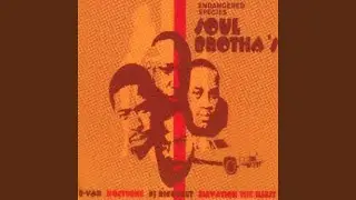 20 Soul Brothas Cool Out Remix