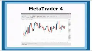 what is trading platform ? #forex #investment #forexindia