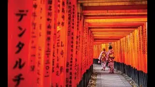 Experience the Essence of Japan