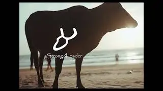 אָב | Ab The Hebrew Word for Father | Pictographic Hebrew Letter Meanings
