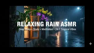 Live 2: Rain on Orchids: Relaxing Tropical Night Rain for Sleep & Insomnia (ASMR)