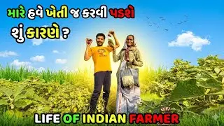 ખેતી કરાય કે વિદેશ મા રેહેવાઈ ? આજે આખો દિવસ વાડીયે પાયલ સાથે ધમાલ || A DAY LIFE OF A INDIAN FARMER