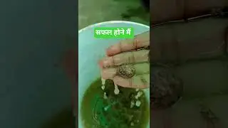एक बात हमेशा याद रखना। #motivation #ytshorts #viral #gardening #littlelifenitusingh #shorts