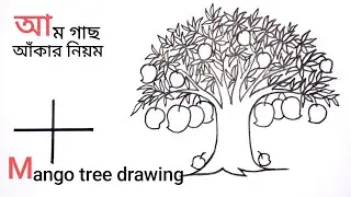 how to draw mango tree l mango tree drawing  l mango tree drawing very easy/ mango tree drawing easy