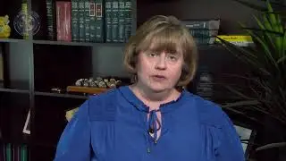 Understanding Organized Retail Crime