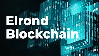 Elrond (EGLD) - конкурент Ethereum (ETH)? / Обзор проекта