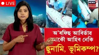 LIVE। Giant oarfish।  অ&rsquo;ৰফিছ আবিৰ্ভাৱ, আকৌ আহিব নেকি ছুনামি, ভূমিকম্প? N18L