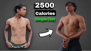 I Tried a Simple 2500-Calorie Bulking Diet Plan 0 investment