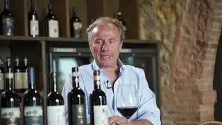 Behind the Wine: Bacci Wines