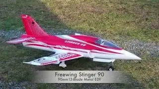 Freewing Stinger 90 at Wax Orchards Airport