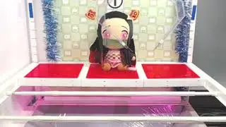 Toreba wins 9.