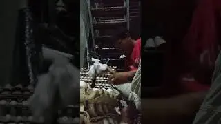 overtimetayo mga ka farmer'ska egg